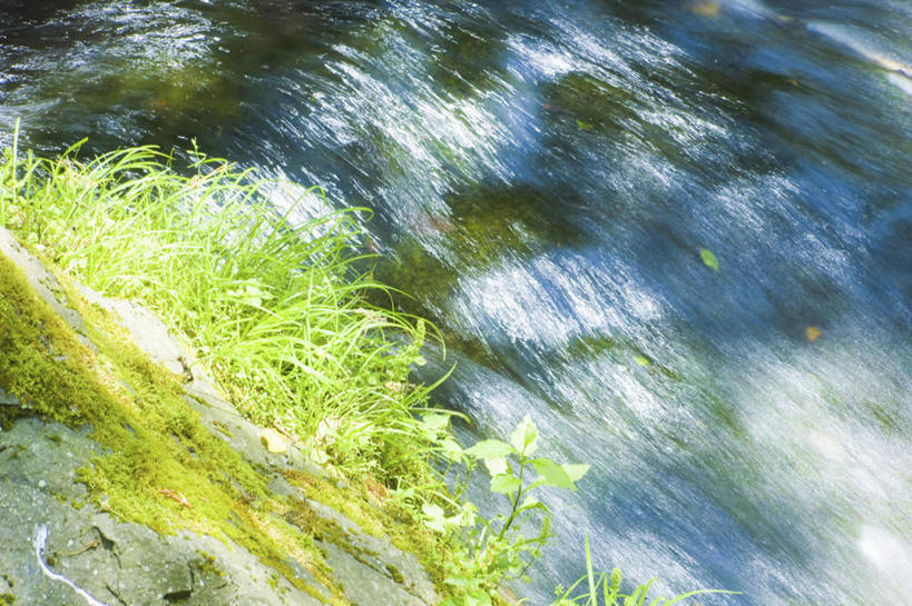 无人,横图,俯视,室外,特写,白天,旅游,度假,河流,美景,水,植物,阴影,波纹,朦胧,模糊,光线,影子,河水,景观,水流,苔藓,涟漪,娱乐,绿色,水纹,小溪,阳光,自然,波浪,溪水,享受,休闲,景色,放松,波光粼粼,自然风光,水晕,彩图,高角度拍摄