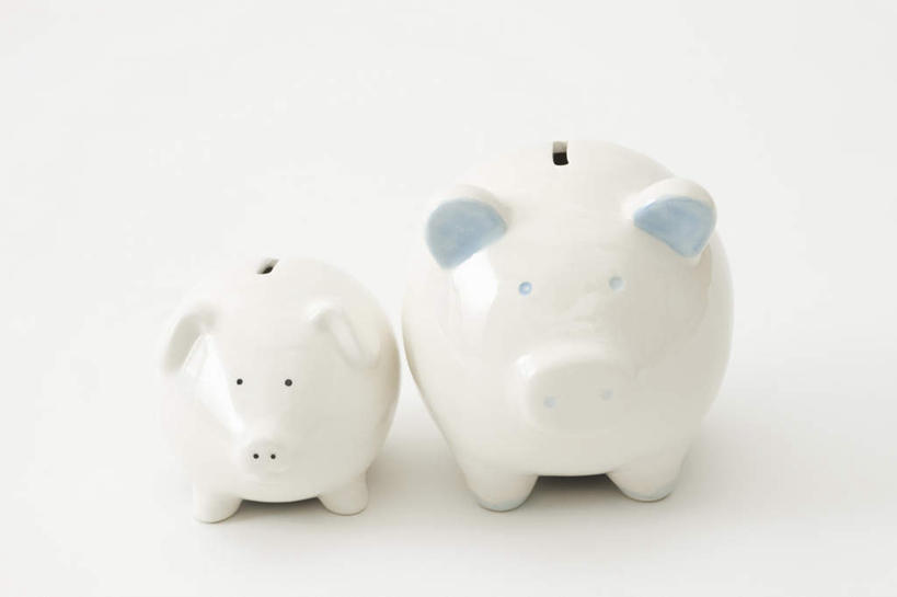 无人,横图,俯视,室内,特写,白天,白色背景,猪,静物,朦胧,模糊,两个,动物,容器,储蓄罐,器皿,家畜,储蓄,存钱,金融,理财,摄影,牲畜,影棚,经济,资金,存钱罐,存款,流通,贸易,贮钱罐,储钱罐,扑满,彩图,高角度拍摄,全身,影棚拍摄,拍摄