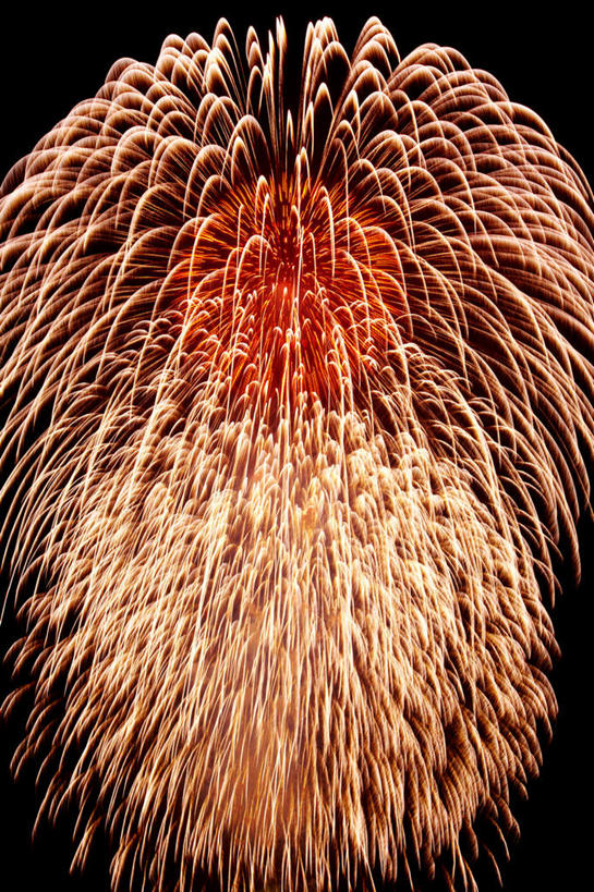 无人,竖图,室外,特写,夜晚,仰视,旅游,度假,烟火,朦胧,模糊,庆祝,美丽,娱乐,黑色,天空,焰火,天,享受,休闲,闪耀,放松,庆贺,闪烁,祝贺,礼花,花炮,礼花炮,绚烂,闪动,闪灼,烟花,彩图,低角度拍摄