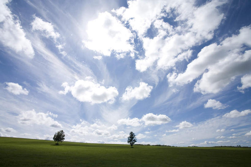 无人,农田,横图,全景,室外,白天,仰视,旅游,度假,庄稼,农作物,美景,天际线,植物,北海道,日本,亚洲,两棵,朦胧,模糊,地平线,景观,云,云朵,辽阔,地面,云彩,娱乐,树,树木,蓝色,绿色,白云,蓝天,天空,自然,天,享受,休闲,景色,放松,生长,晴朗,成长,一望无际,自然风光,延伸,东亚,日本国,天地相交,北海道地方,北海道岛,美瑛町,美瑛,晴空,彩图,低角度拍摄,耕地,庄稼田
