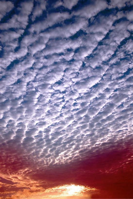 无人,竖图,室外,白天,仰视,旅游,度假,美景,日落,朦胧,模糊,景观,晚霞,霞光,云,云朵,云彩,娱乐,蓝色,白云,蓝天,天空,自然,黄昏,天,享受,休闲,景色,彩霞,放松,晴朗,自然风光,卷积云,晴空,夕阳,彩图,低角度拍摄