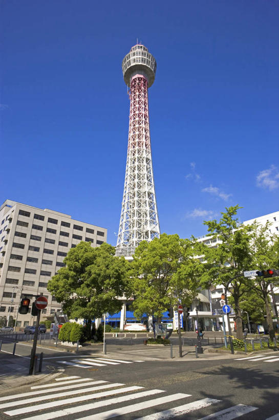 无人,竖图,室外,白天,仰视,安全,植物,道路,路,人行横道,公路,神奈川,日本,亚洲,阴影,朦胧,模糊,光线,影子,云,云朵,红绿灯,人行道,信号灯,交通,横滨,横滨市,神奈川县,云彩,树,树木,蓝色,绿色,白云,蓝天,天空,阳光,自然,天,警示,生长,晴朗,成长,提示,人行横道线,流通,东亚,交通信号灯,本州,首府,行人信号灯,关东地方,本州岛,日本国,横滨海洋塔,晴空,斑马线,马路,彩图,低角度拍摄