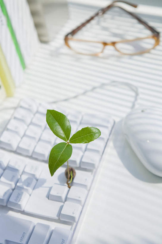 无人,竖图,俯视,室内,特写,白天,鼠标,键盘,静物,叶子,阴影,朦胧,模糊,光线,眼镜,影子,绿叶,三片,输入设备,通讯设备,一个,阳光,嫩叶,单个,通信设备,近视眼镜,叶,叶片,彩图,高角度拍摄