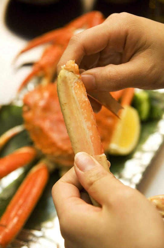 海鲜,蟹,东方人,手,一个人,摸,吃,竖图,俯视,室内,特写,白天,餐桌,桌子,柠檬,餐具,水果,亚洲,仅一个年轻女性,仅一个女性,仅一个人,抚摸,切开,握,阴影,朦胧,模糊,新鲜,光线,螃蟹,碟子,盘,影子,生食,食品,果实,拿,拿着,黄种人,水产,海洋生物,食物,黄色,阳光,盘子,碟,切,手部,握着,有机食品,绿色食品,餐台,水生动物,海产品,水生物,剖面,海底动物,切面,年轻女性,女人,女性,亚洲人,益母果,柠果,触摸,接触,嚼,食,半身,彩图,高角度拍摄