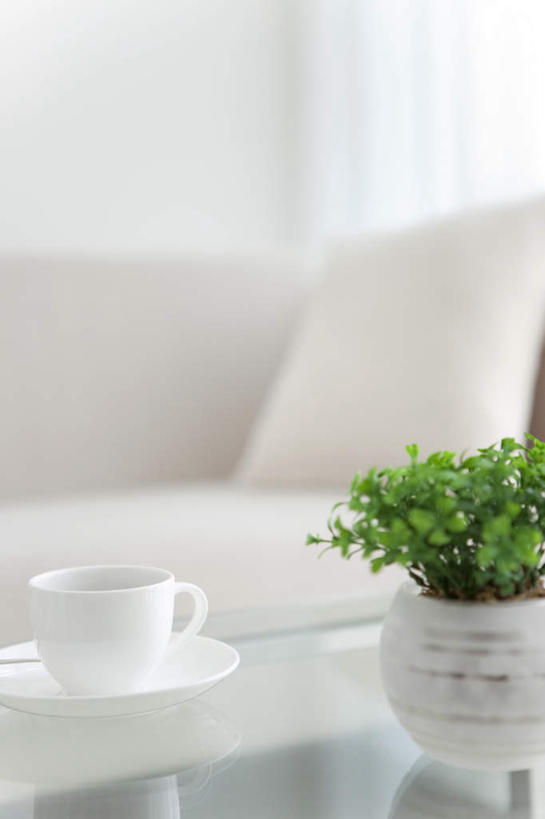 无人,客厅,竖图,室内,白天,正面,旅游,度假,植物,餐桌,窗户,靠垫,落地窗,桌子,杯子,餐具,阴影,朦胧,模糊,光线,瓷器,碟子,盘,盆栽,影子,墙,咖啡杯,靠枕,盆景,陶瓷制品,娱乐,玻璃窗,墙壁,墙面,绿色,阳光,自然,盘子,垫子,碟,枕头,享受,休闲,放松,生长,成长,餐台,起居室,瓷杯,彩图