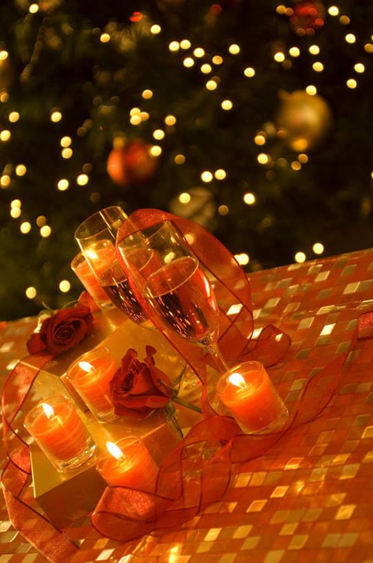 无人,竖图,室内,夜晚,正面,爱情,幸福,纯洁,热情,植物,台灯,桌面,玫瑰,蜡烛,照明,圣诞节,一棵,节日,朦胧,模糊,庆祝,装饰,盛开,彩灯,火焰,烛光,灯光,圣诞树,玫瑰花,浪漫,燃烧,花蕾,文化,灯,花,花瓣,花朵,鲜花,树,树木,红色,绿色,自然,灯具,花苞,花蕊,点燃,庆典,温暖,温馨,恩爱,生长,成长,纪念,华丽,修饰,照亮,点缀,和睦,照明设备,感动,衬托,美观,雅致,雅观,尊敬,天真,刺玫花,徘徊花,彩图,融洽