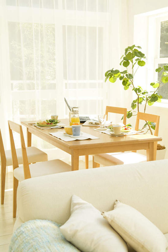 无人,客厅,竖图,室内,白天,正面,旅游,度假,植物,餐桌,窗户,地板,靠垫,落地窗,沙发,桌子,杯子,餐具,椅子,阴影,光线,瓷器,碟子,盘,盆栽,影子,木椅,墙,咖啡杯,靠枕,盆景,陶瓷制品,地面,娱乐,木地板,玻璃窗,墙壁,墙面,绿色,阳光,自然,盘子,垫子,碟,碗,枕头,享受,休闲,放松,生长,成长,餐台,起居室,瓷杯,布艺沙发,进餐用具,烹调用具,彩图