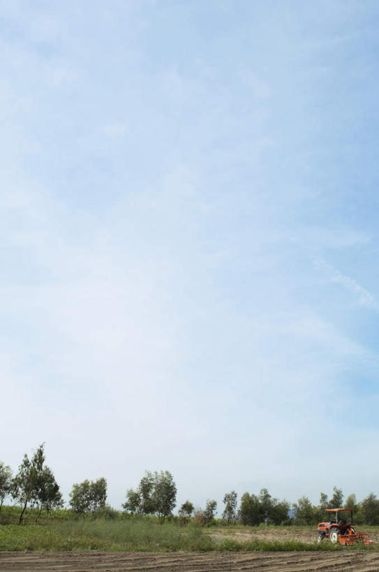 无人,农田,竖图,室外,白天,仰视,农业,庄稼,农作物,草地,草坪,植物,汽车,一辆,云,云朵,云彩,车,草,树,树木,红色,蓝色,绿色,白云,蓝天,天空,自然,交通工具,天,机械,生长,晴朗,成长,载具,拖拉机,交通运输,农用机械,晴空,彩图,低角度拍摄,耕地,庄稼田