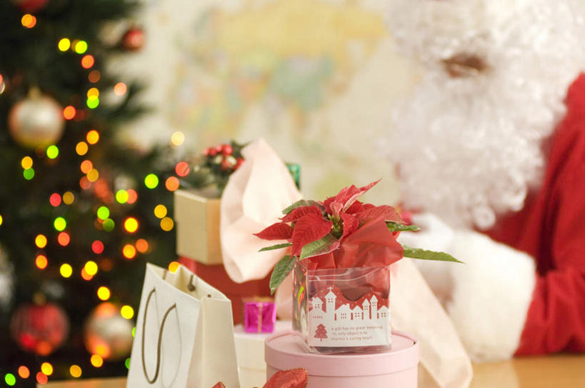 东方人,一个人,坐,横图,室内,白天,正面,桌子,礼盒,礼物,照明,圣诞节,亚洲,仅一个男性,仅一个人,节日,朦胧,模糊,庆祝,彩灯,纸盒,办公桌,灯光,圣诞红,一品红,黄种人,文化,灯,盒子,仅一个年轻男性,一个,红色,包装盒,礼品盒,灯具,圣诞花,庆典,一盒,礼品,单个,纪念,照亮,一盆,照明设备,男人,男性,年轻男性,亚洲人,坐着,半身,彩图