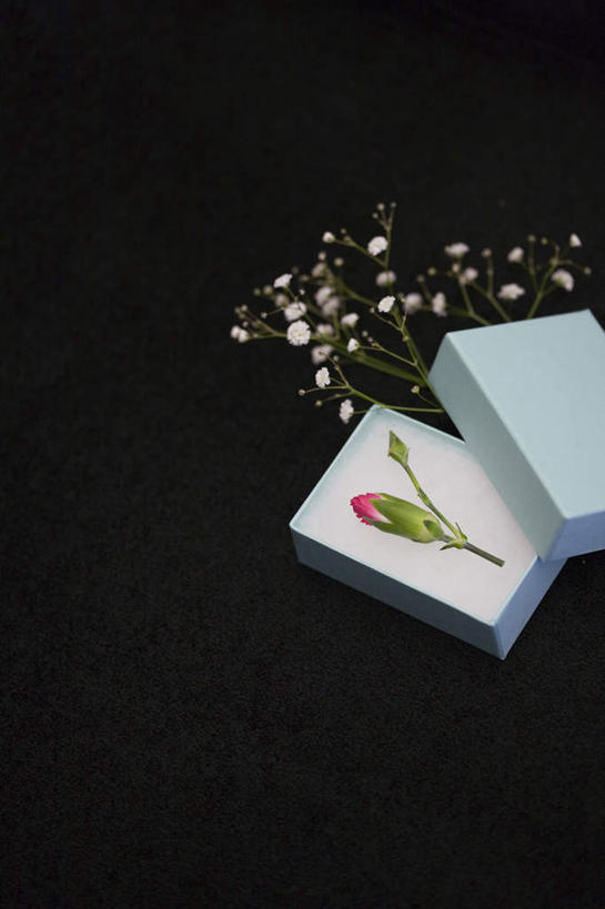 无人,竖图,俯视,室内,特写,白天,纯洁,礼盒,礼物,许多,黑色背景,盛开,纸盒,花蕾,满天星,盒子,花,花瓣,花朵,鲜花,一个,红色,白色,包装盒,礼品盒,花苞,花蕊,清纯,摄影,礼品,影棚,单个,关怀,霞草,丝石竹,思恋,真爱,彩图,高角度拍摄,影棚拍摄,拍摄,配角