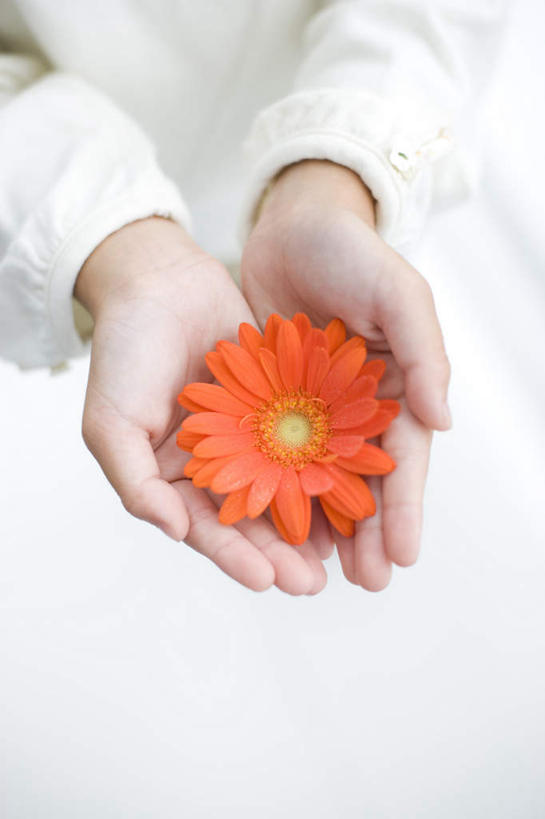 东方人,儿童,手,一个人,站,捧,竖图,俯视,室外,特写,白天,纯洁,亚洲,双手,仅一个女性,仅一个人,服装,朦胧,模糊,非洲菊,休闲装,黄种人,一朵,小孩,衣服,站着,仅一个小孩,休闲,手部,休闲服,橙色,菊花,可爱,童年,童趣,服饰,童真,烂漫,无邪,扶郎花,灯盏花,千日菊,天真,女孩,女人,女性,亚洲人,孩子,端,端着,捧着,手捧,站立,半身,彩图,高角度拍摄,女生