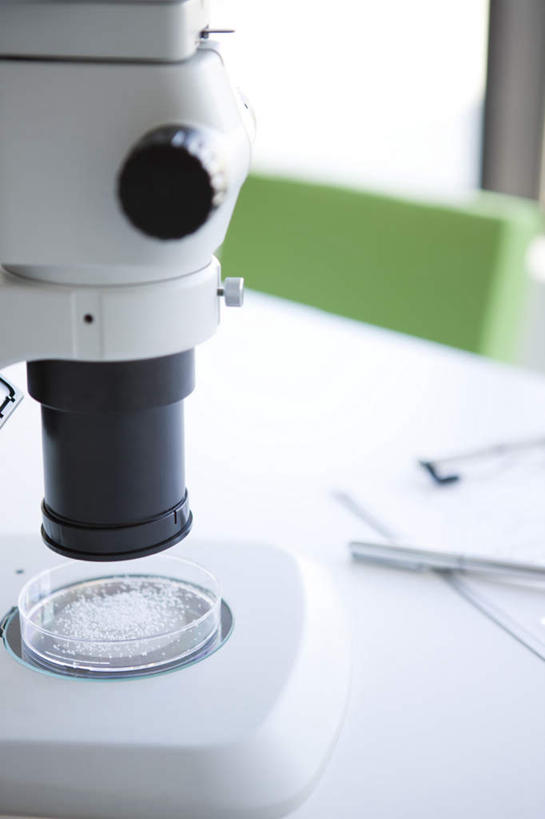 无人,竖图,俯视,室内,特写,白天,实验,仪器,静物,一张,检查,研究,反射,分析,科学,化学,测试,笔,材料,档案,培养皿,文件,显微镜,办公用品,文具,学习用品,资料,观察,器皿,生物,清晰,探索,放大,观看,仔细,文具用品,一支,透镜,凸透镜,聚焦,关注,文档,皮氏培养皿,试验耗材,实验用品,化学器材,光学,清楚,彩图,高角度拍摄