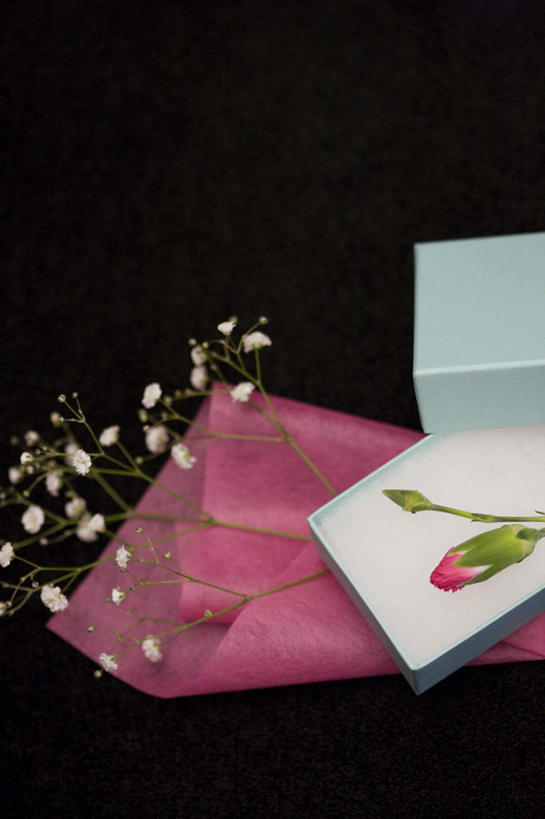 无人,竖图,俯视,室内,特写,白天,纯洁,康乃馨,礼盒,礼物,一张,许多,黑色背景,盛开,包装纸,纸盒,花蕾,满天星,盒子,花,花瓣,花朵,鲜花,红色,蓝色,白色,包装盒,礼品盒,花苞,花蕊,清纯,摄影,礼品,影棚,关怀,霞草,丝石竹,思恋,真爱,麝香石竹,石竹,香石竹,彩图,高角度拍摄,影棚拍摄,拍摄,配角