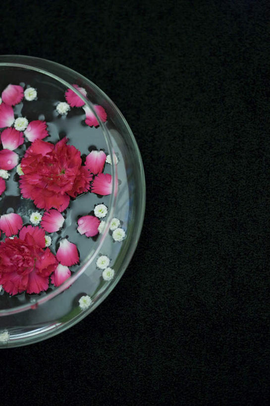 无人,竖图,俯视,室内,特写,白天,纯洁,水,康乃馨,玻璃,许多,黑色背景,透明,盆,满天星,玻璃制品,红色,白色,清纯,摄影,影棚,关怀,霞草,丝石竹,思恋,真爱,麝香石竹,石竹,香石竹,彩图,高角度拍摄,影棚拍摄,拍摄,配角