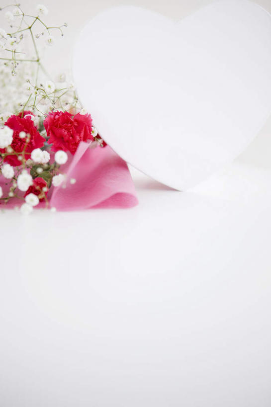 无人,竖图,室内,特写,白天,白色背景,正面,爱情,纯洁,康乃馨,礼盒,礼物,许多,爱心,盛开,包装纸,纸盒,浪漫,花蕾,满天星,盒子,花,花瓣,花朵,鲜花,一个,红色,包装盒,礼品盒,花苞,花蕊,温暖,温馨,心形,恩爱,清纯,摄影,礼品,影棚,单个,关怀,和睦,霞草,丝石竹,思恋,真爱,麝香石竹,石竹,香石竹,心型,彩图,影棚拍摄,拍摄,融洽,配角