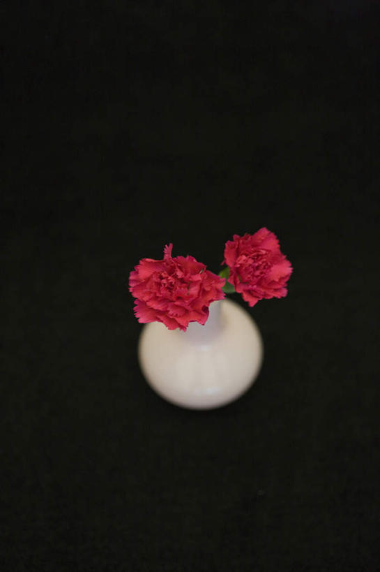 无人,竖图,俯视,室内,特写,白天,康乃馨,花瓶,黑色背景,盛开,陶瓷,陶瓷制品,花蕾,花,花瓣,花朵,鲜花,两朵,一个,白色,瓶子,花苞,花蕊,摄影,影棚,单个,麝香石竹,石竹,香石竹,彩图,高角度拍摄,影棚拍摄,拍摄