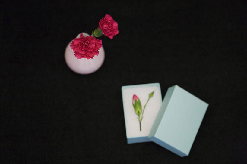 无人,横图,俯视,室内,特写,白天,康乃馨,花瓶,礼盒,礼物,三朵,黑色背景,盛开,纸盒,陶瓷,陶瓷制品,花蕾,盒子,花,花瓣,花朵,鲜花,一个,蓝色,白色,包装盒,瓶子,礼品盒,花苞,花蕊,打开,摄影,礼品,影棚,单个,麝香石竹,石竹,香石竹,彩图,高角度拍摄,影棚拍摄,拍摄