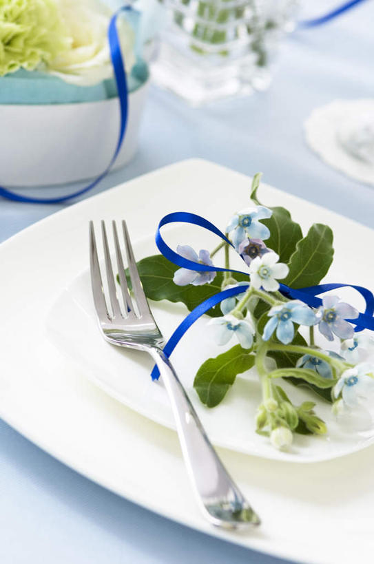 无人,竖图,俯视,室内,特写,白天,勿忘我,餐具,两根,一把,布料,丝绸,丝带,叉,陶瓷,缎带,陶瓷制品,布纹,绸带,桌布,两个,蓝色,白色,盘子,餐巾,台布,进餐用具,烹调用具,星辰花,勿忘草,斯太菊,矶松,彩图,高角度拍摄