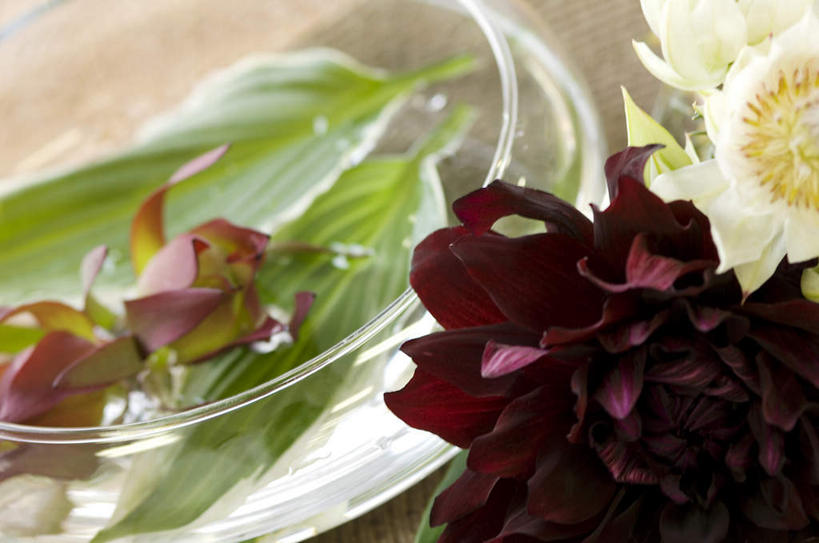 无人,横图,俯视,室内,特写,白天,叶子,阴影,盛开,光线,影子,大丽花,绿叶,花蕾,花,花瓣,花朵,鲜花,红色,浴缸,花苞,花蕊,嫩叶,菊花,大理花,大丽菊,富丽,大方,叶,叶片,彩图,高角度拍摄