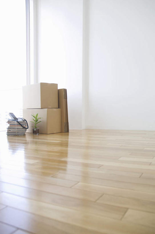 无人,打电话,竖图,室内,白天,正面,植物,窗户,地板,落地窗,电话,书籍,许多,装饰,包装,盆栽,纸箱,墙,盆景,地面,通讯设备,木地板,玻璃窗,墙壁,墙面,黄色,绿色,白色,自然,话筒,容器,箱子,电话线,生长,成长,华丽,修饰,点缀,一盆,纸板箱,包装箱,一部,衬托,美观,雅致,雅观,交流,电话机,书,图书,沟通,通话,彩图