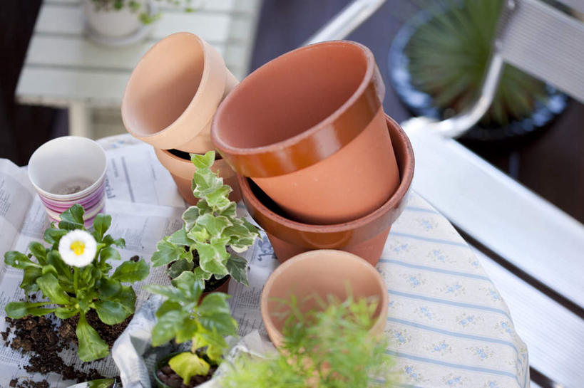 无人,横图,俯视,室外,特写,白天,植物,桌子,报纸,叶子,椅子,花盆,五个,许多,装饰,盛开,信息,布料,盆栽,盆子,木椅,绿叶,盆景,美丽,花蕾,布纹,桌布,花,花瓣,花朵,鲜花,一朵,红色,绿色,白色,自然,餐巾,台布,花苞,花蕊,嫩叶,生长,成长,新闻,华丽,修饰,点缀,栽培,培养,衬托,美观,雅致,雅观,叶,叶片,彩图,高角度拍摄,报刊