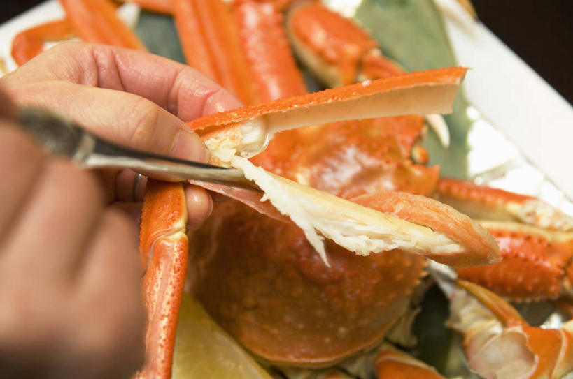 东方人,手,一个人,横图,俯视,室内,特写,白天,餐具,叶子,金属制品,亚洲,仅一个年轻女性,仅一个女性,仅一个人,握,金属,陶瓷,绿叶,陶瓷制品,帝王蟹,黄种人,一个,一只,红色,盘子,手部,嫩叶,握着,单个,皇帝蟹,年轻女性,女人,女性,亚洲人,叶,叶片,进餐用具,烹调用具,半身,彩图,高角度拍摄