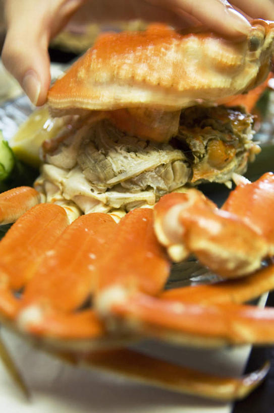 东方人,手,一个人,竖图,俯视,室内,特写,白天,烹饪,亚洲,仅一个年轻女性,仅一个女性,仅一个人,日本料理,料理,食品,帝王蟹,拿,拿着,黄种人,菜肴,美食,食物,红色,日式料理,日式,蟹壳,佳肴,皇帝蟹,年轻女性,女人,女性,亚洲人,半身,彩图,高角度拍摄