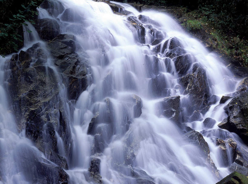 无人,横图,室外,白天,仰视,旅游,度假,礁石,石头,美景,瀑布,水,植物,日本,亚洲,飞溅,朦胧,模糊,溅,石子,液体,景观,水滴,苔藓,娱乐,水珠,绿色,自然,享受,休闲,景色,放松,喷洒,自然风光,东亚,本州,本州岛,日本国,东北地方,福岛,福岛县,跌水,礁,石块,岩石,彩图,低角度拍摄