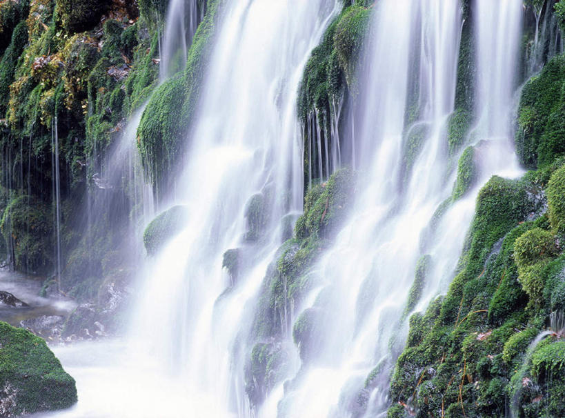 无人,横图,室外,白天,正面,旅游,度假,美景,瀑布,水,植物,秋田县,日本,亚洲,许多,飞溅,溅,液体,景观,水滴,苔藓,娱乐,水珠,绿色,自然,享受,休闲,景色,放松,喷洒,自然风光,东亚,本州,本州岛,日本国,秋田,东北地方,跌水,彩图