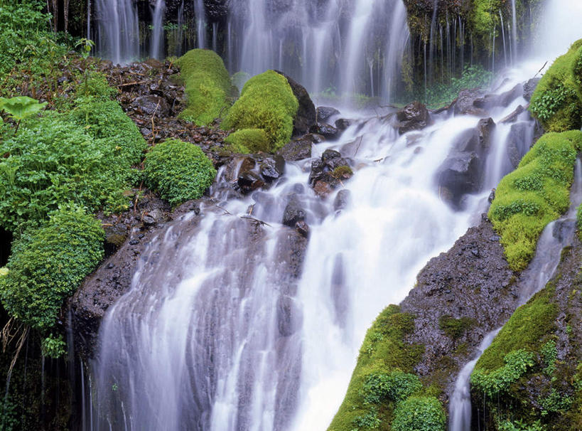 无人,横图,室外,白天,正面,旅游,度假,美景,瀑布,水,植物,日本,亚洲,许多,飞溅,溅,液体,景观,水滴,苔藓,娱乐,水珠,绿色,自然,享受,休闲,景色,放松,喷洒,自然风光,东亚,本州,本州岛,日本国,中部地方,山梨,山梨县,跌水,彩图