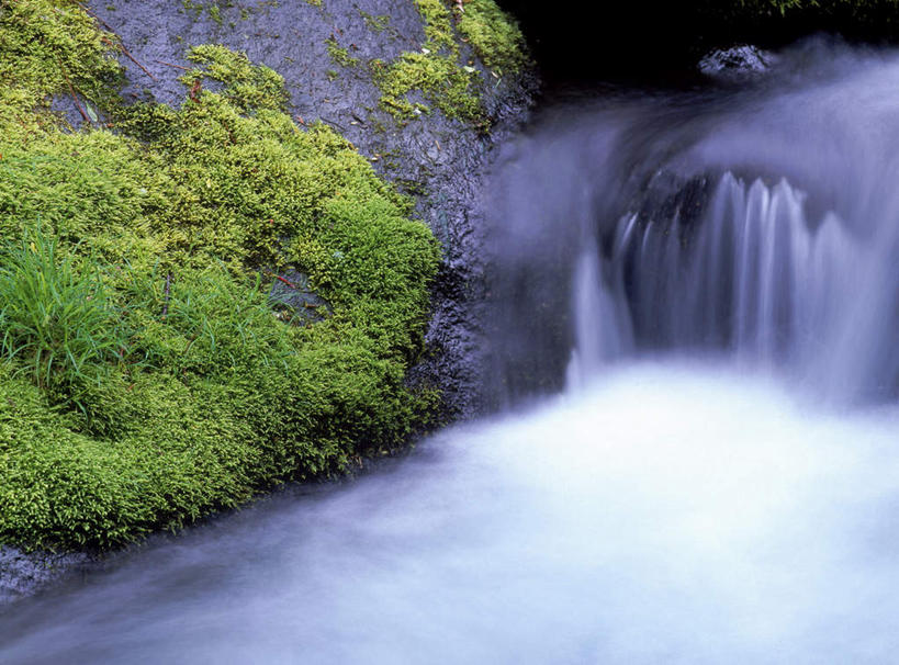 无人,横图,室外,白天,正面,长时间曝光,旅游,度假,美景,瀑布,水,植物,日本,亚洲,飞溅,溅,液体,景观,水滴,苔藓,娱乐,水珠,绿色,自然,享受,休闲,景色,放松,喷洒,自然风光,曝光,东亚,本州,本州岛,日本国,中部地方,山梨,山梨县,暴光,跌水,彩图