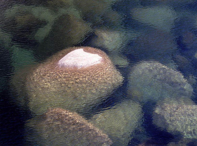 无人,横图,室外,特写,白天,正面,旅游,度假,石头,美景,水,鹿儿岛,日本,亚洲,阴影,朦胧,模糊,平静,透明,光线,石子,影子,景观,水面,娱乐,阳光,自然,享受,休闲,鹅卵石,景色,放松,自然风光,按摩石,东亚,日本国,九州本岛,九州,九州岛,九州地方,鹿儿岛县,石块,彩图