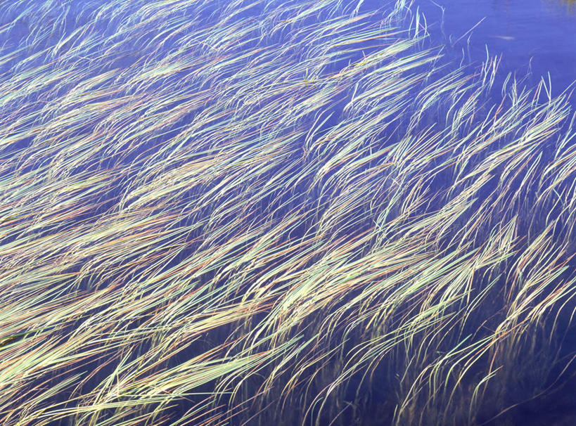 无人,横图,俯视,室外,白天,旅游,度假,美景,日本,亚洲,阴影,飘扬,光线,影子,景观,芒草,娱乐,蓝色,蓝天,天空,阳光,自然,天,享受,休闲,景色,放松,自然风光,东亚,本州,本州岛,日本国,东北地方,山形,山形县,彩图,高角度拍摄