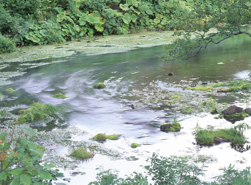 无人,横图,俯视,室外,白天,旅游,度假,河流,美景,水,植物,日本,亚洲,湍急,河水,景观,水流,苔藓,娱乐,绿色,自然,享受,休闲,景色,放松,自然风光,东亚,本州,本州岛,日本国,青森,青森县,东北地方,彩图,高角度拍摄