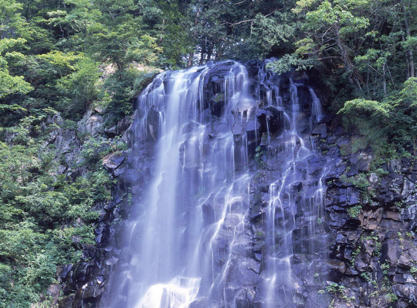无人,横图,室外,白天,仰视,旅游,度假,美景,瀑布,水,植物,秋田县,日本,亚洲,飞溅,湍急,溅,液体,景观,水滴,苔藓,娱乐,水珠,树,树木,绿色,自然,享受,休闲,景色,放松,生长,成长,喷洒,自然风光,东亚,本州,本州岛,日本国,秋田,东北地方,跌水,彩图,低角度拍摄