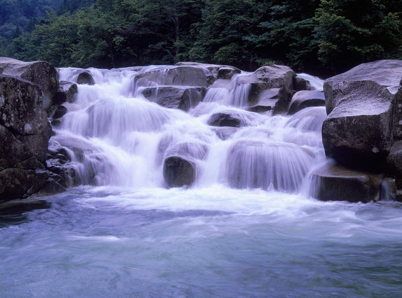 无人,横图,室外,白天,正面,旅游,度假,河流,石头,美景,森林,树林,水,植物,长野县,日本,亚洲,石子,河水,景观,水流,娱乐,树,树木,绿色,小溪,自然,溪水,享受,休闲,景色,放松,生长,成长,自然风光,东亚,本州,本州岛,日本国,中部地方,长野,石块,岩石,彩图