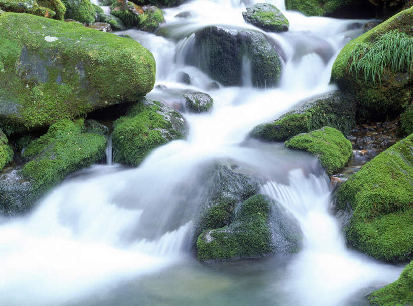 无人,横图,俯视,室外,白天,长时间曝光,旅游,度假,河流,石头,美景,水,植物,静冈县,日本,亚洲,石子,河水,景观,水流,苔藓,娱乐,绿色,小溪,自然,溪水,享受,休闲,景色,放松,自然风光,曝光,东亚,本州,本州岛,日本国,中部地方,静冈,暴光,石块,岩石,彩图,高角度拍摄