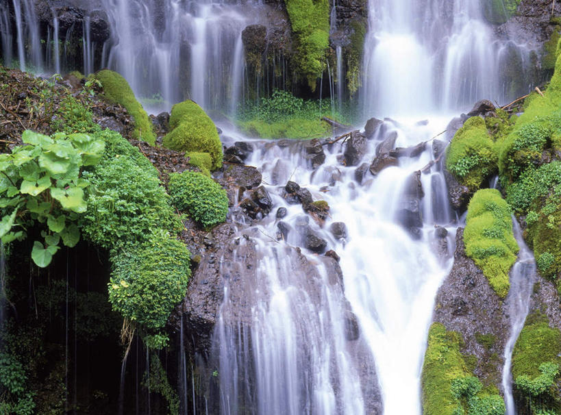 无人,横图,室外,白天,正面,长时间曝光,旅游,度假,美景,瀑布,水,植物,日本,亚洲,飞溅,溅,液体,景观,水滴,苔藓,娱乐,水珠,绿色,自然,享受,休闲,景色,放松,喷洒,自然风光,曝光,东亚,本州,本州岛,日本国,中部地方,山梨,山梨县,暴光,跌水,彩图