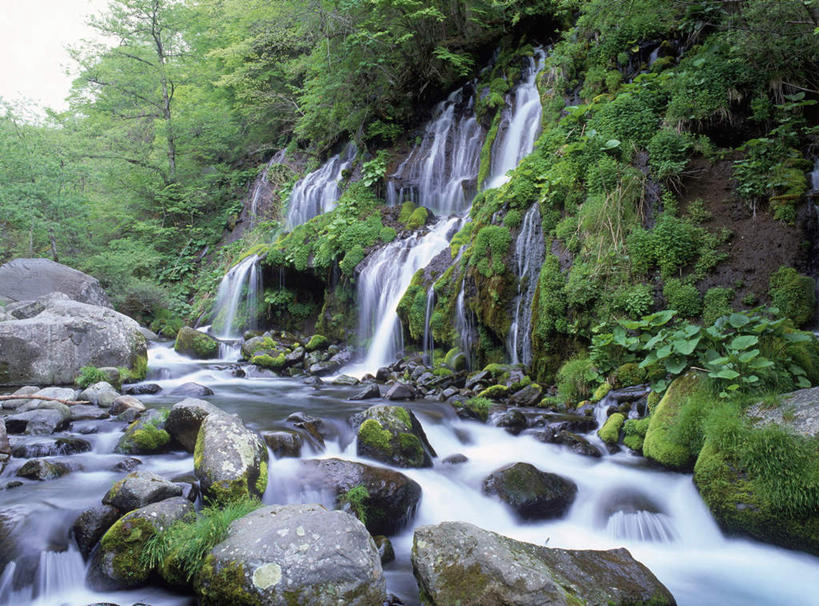 无人,横图,室外,白天,正面,旅游,度假,石头,美景,瀑布,森林,树林,水,植物,日本,亚洲,飞溅,溅,石子,液体,景观,水滴,云,云朵,云彩,娱乐,水珠,树,树木,绿色,白云,天空,自然,天,享受,休闲,景色,放松,生长,成长,喷洒,自然风光,东亚,本州,本州岛,日本国,中部地方,山梨,山梨县,跌水,石块,岩石,彩图