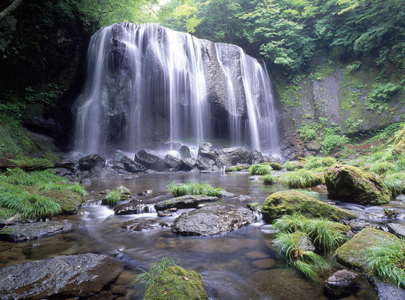 无人,横图,室外,白天,仰视,旅游,度假,石头,美景,瀑布,森林,树林,水,植物,日本,亚洲,阴影,飞溅,溅,光线,石子,液体,影子,景观,水滴,娱乐,水珠,树,树木,绿色,阳光,自然,享受,休闲,景色,放松,生长,成长,喷洒,自然风光,东亚,本州,本州岛,日本国,东北地方,福岛,福岛县,跌水,石块,岩石,彩图,低角度拍摄