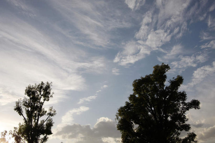 无人,横图,室外,白天,仰视,旅游,度假,美景,植物,阴影,光线,影子,景观,云,云朵,云彩,娱乐,树,树木,蓝色,绿色,白云,蓝天,天空,阳光,自然,天,享受,休闲,景色,放松,生长,晴朗,成长,自然风光,晴空,彩图,低角度拍摄