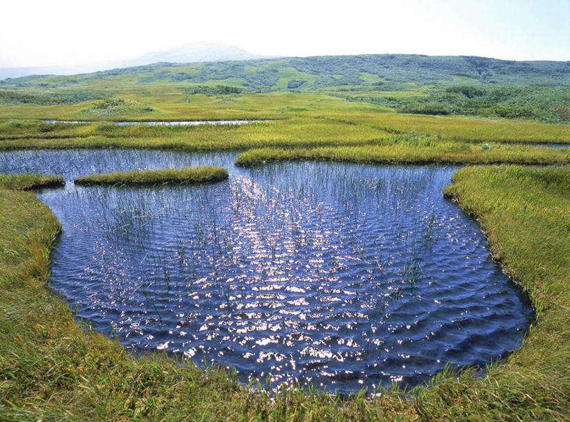 无人,横图,俯视,室外,白天,旅游,度假,草地,草坪,美景,山,植物,日本,亚洲,阴影,波纹,光线,影子,景观,山峰,山峦,娱乐,草,绿色,水纹,阳光,自然,波浪,享受,休闲,景色,放松,沼泽,自然风光,东亚,本州,本州岛,日本国,东北地方,山形,山形县,彩图,高角度拍摄
