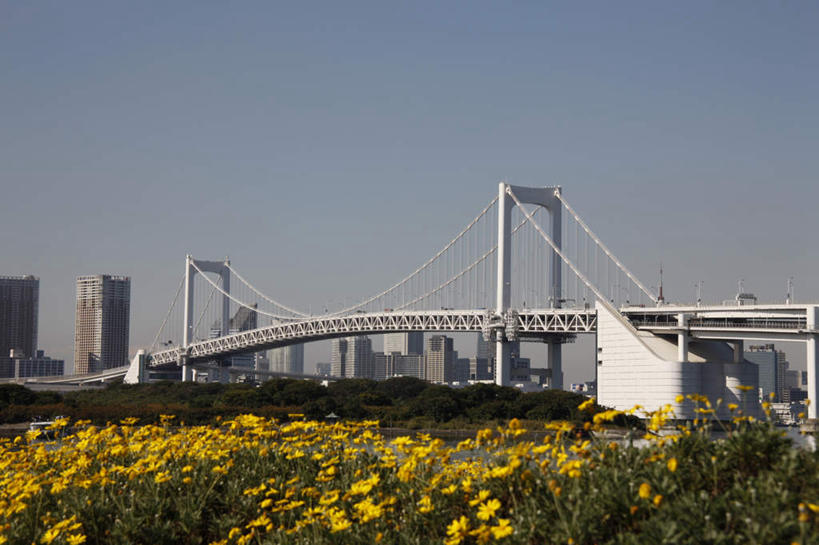 无人,横图,室外,白天,正面,旅游,度假,植物,标志建筑,大桥,地标,建筑,立交桥,桥梁,叶子,东京,日本,亚洲,许多,阴影,盛开,光线,花坛,影子,高架,斜拉桥,桥,绿叶,彩虹大桥,娱乐,建设,花,花瓣,花朵,花卉,鲜花,黄色,蓝色,蓝天,天空,阳光,天,花蕊,享受,休闲,嫩叶,旅游胜地,放松,东亚,本州,关东地方,本州岛,日本国,东京都,日本彩虹大桥,叶,叶片,彩图