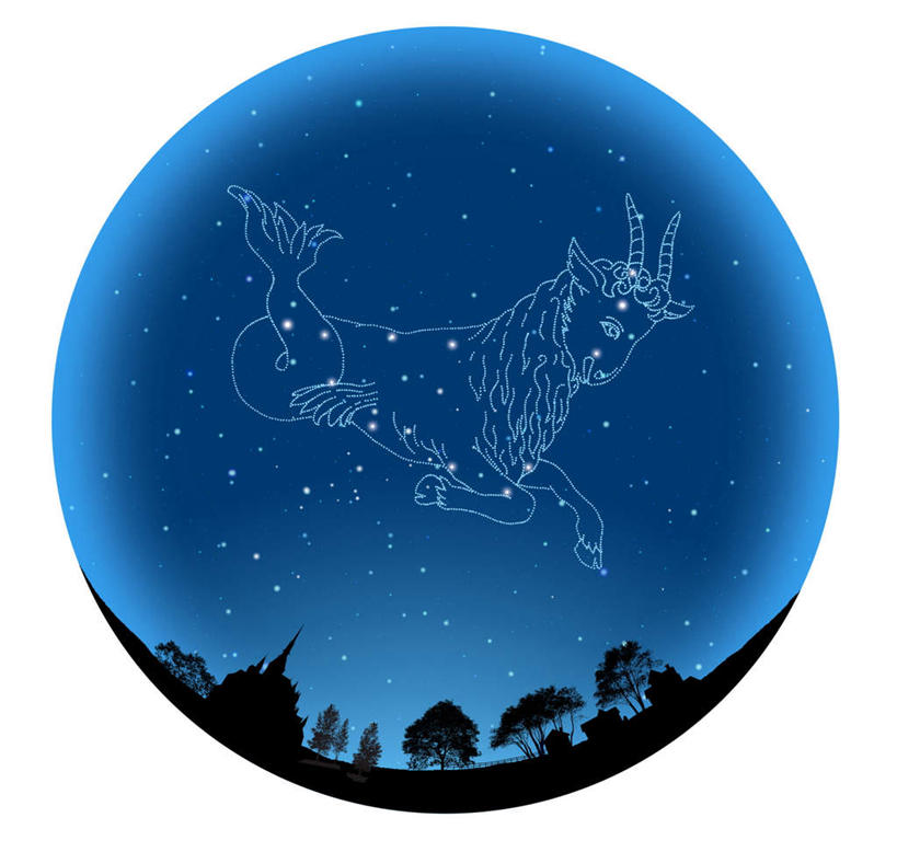 无人,横图,室内,白天,白色背景,正面,广角镜头,鱼眼镜头,数码,宇宙,科技,植物,阴影,网络,圆形,星星,高光,几何,计算机图形,合成,树,树木,一个,蓝色,绿色,蓝天,天空,自然,天,可爱,星座,生长,单个,成长,电脑合成图,数码合成图,恒星,气质,天文,占卜,天文学,写实,具体,具象,可靠,摩羯座,星相,隐忍,占星,山羊座,彩图