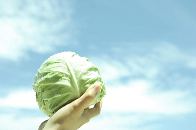 东方人,手,一个人,站,捧,横图,室外,特写,白天,仰视,蔬菜,椰菜,卷心菜,叶子,亚洲,仅一个年轻女性,仅一个女性,仅一个人,新鲜,云,云朵,食品,绿叶,云彩,黄种人,食物,一个,蓝色,白云,蓝天,天空,天,站着,手部,嫩叶,有机食品,绿色食品,晴朗,单个,单手,年轻女性,女人,女性,亚洲人,叶,叶片,晴空,结球甘蓝,甘兰,包心菜,端,端着,捧着,手捧,站立,半身,彩图,低角度拍摄