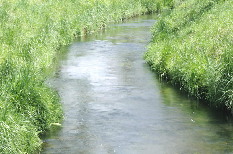 无人,横图,俯视,室外,白天,旅游,度假,草地,草坪,河流,美景,水,植物,日本,亚洲,阴影,波纹,光线,影子,河水,景观,水流,涟漪,娱乐,草,绿色,倒影,水纹,阳光,自然,波浪,享受,休闲,景色,放松,倒映,自然风光,东亚,本州,本州岛,日本国,中部地方,山梨,山梨县,水晕,反照,彩图,高角度拍摄