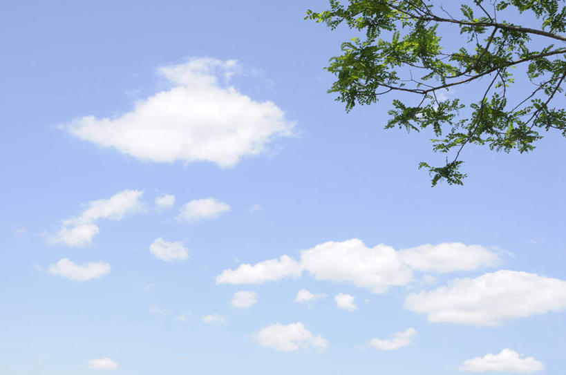 无人,横图,室外,白天,仰视,旅游,度假,美景,植物,叶子,神奈川,日本,亚洲,景观,云,云朵,绿叶,神奈川县,云彩,娱乐,树,树木,蓝色,绿色,白云,蓝天,天空,自然,天,享受,休闲,嫩叶,景色,放松,生长,晴朗,成长,自然风光,东亚,本州,关东地方,本州岛,日本国,叶,叶片,晴空,彩图,低角度拍摄