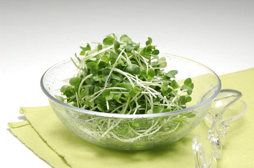 无人,横图,俯视,室内,特写,白天,桌面,桌子,蔬菜,餐具,叶子,一堆,许多,堆叠,堆积,新鲜,豆芽,食品,绿叶,食物,碗,嫩叶,摄影,有机食品,绿色食品,影棚,堆,豆芽菜,芽苗菜,叶,叶片,进餐用具,烹调用具,彩图,高角度拍摄,影棚拍摄,拍摄