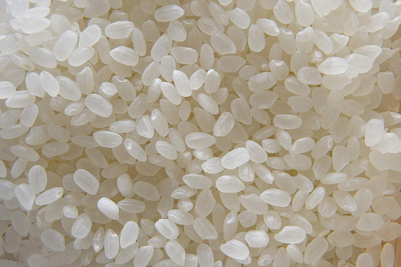 无人,横图,俯视,室内,特写,白天,白色背景,一堆,许多,阴影,堆叠,堆积,光线,影子,谷类,谷物,米,大米,白色,阳光,摄影,影棚,堆,彩图,高角度拍摄,影棚拍摄,拍摄