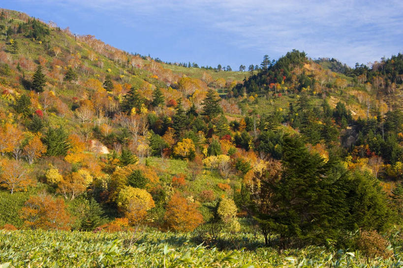 无人,横图,室外,白天,正面,旅游,度假,草地,草坪,美景,山,山脉,植物,日本,亚洲,阴影,光线,影子,景观,山峰,云,云朵,山峦,云彩,娱乐,草,树,树木,蓝色,绿色,白云,蓝天,天空,阳光,自然,群山,天,享受,休闲,景色,放松,生长,成长,自然风光,东亚,本州,本州岛,日本国,岩手,岩手县,东北地方,彩图